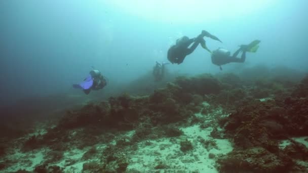 Buceadores bajo el agua . — Vídeos de Stock