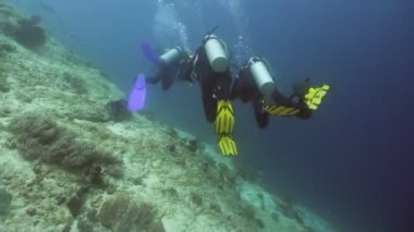 Skuba dalgıçları suyun altında.