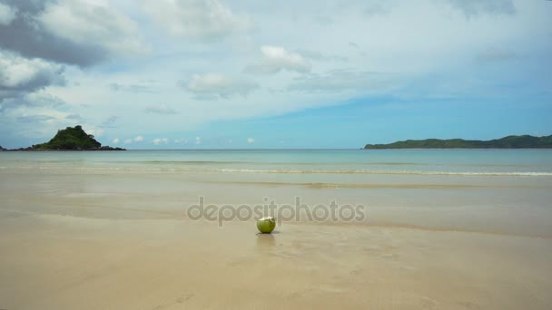 Cocco verde sulla spiaggia di sabbia . — Video Stock