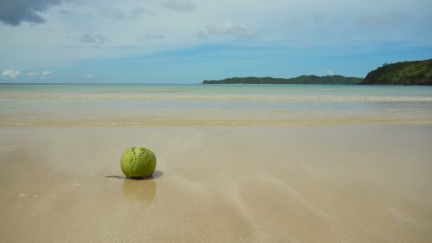 Zelený kokos na písečné pláži. — Stock video