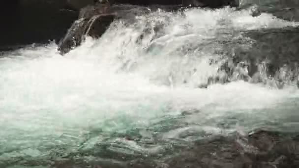 Mountain stream floden. — Stockvideo