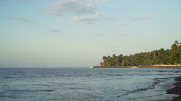 Strand auf tropischer Insel. — Stockvideo