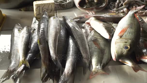 Ryby na asijském trhu. — Stock video