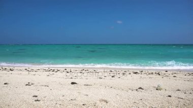 güzel bir plaj tropikal adada.