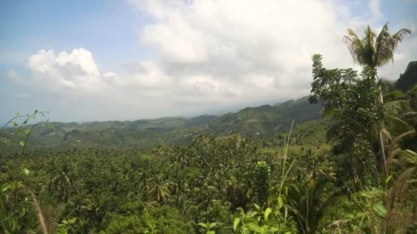 Tropikal ormanlı dağlar. Filipinler Cebu Adası. — Stok video