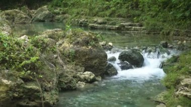 Yağmur ormanlarındaki nehir