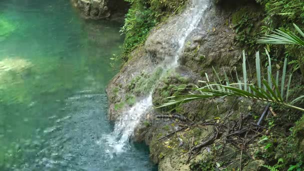 Güzel tropik şelale. Filipinler Cebu Adası. — Stok video