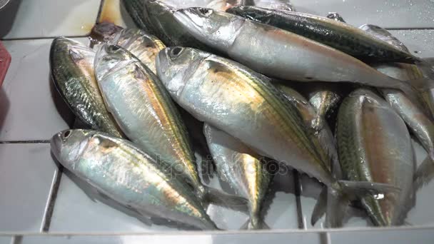 Pescado en el mercado asiático. — Vídeos de Stock
