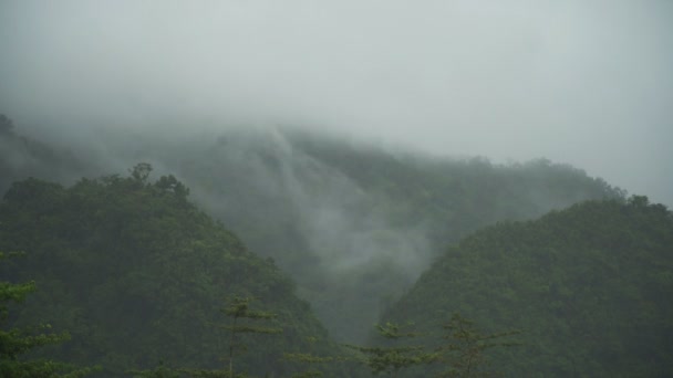 Mlha v horách. — Stock video