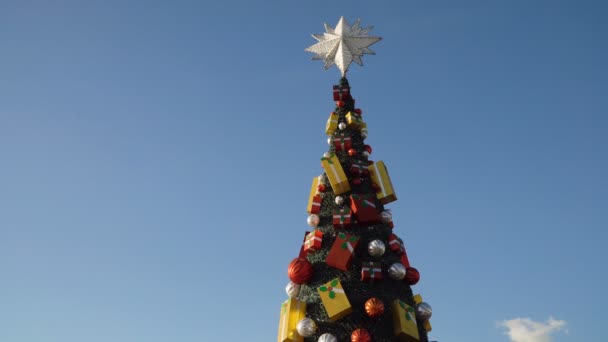 漂亮的圣诞树. — 图库视频影像