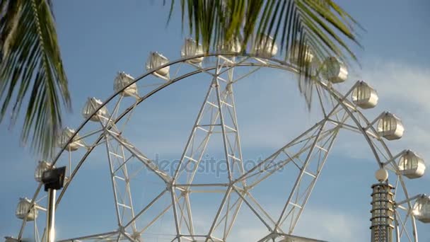 Rueda de la fortuna en un parque de atracciones. — Vídeos de Stock