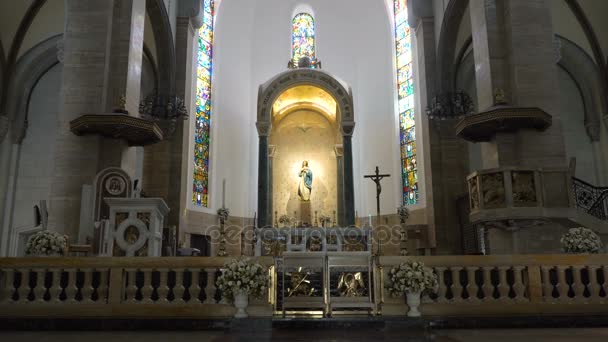 马尼拉大教堂，Intramuros. — 图库视频影像