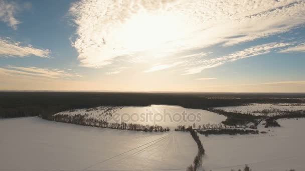 Paisaje invernal con bosque, campo. Paisaje invierno . — Vídeo de stock