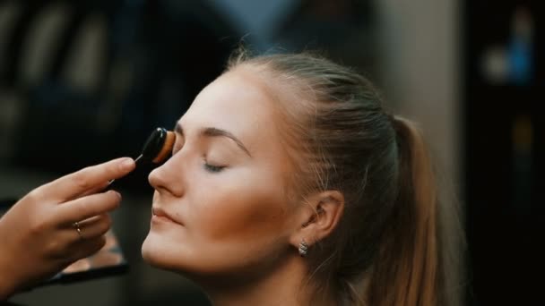Make-up kunstenaar doen professionele make-up van jonge vrouw. — Stockvideo