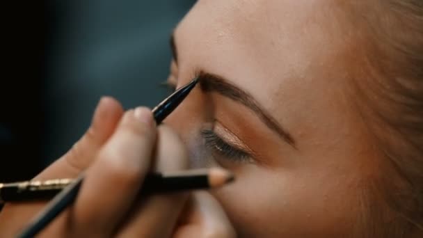 Make-up-Artist macht professionelles Make-up für junge Frau — Stockvideo