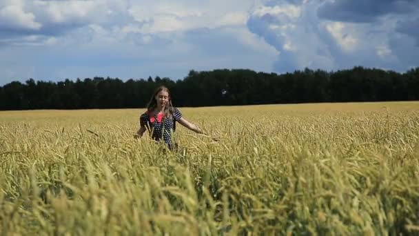 Jong meisje in het tarweveld. — Stockvideo