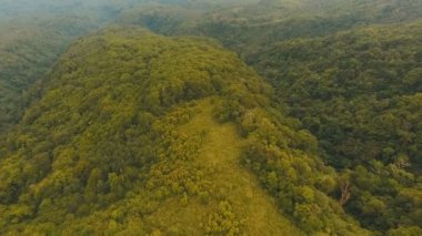 Havadan görünümü akşam yağmur ormanları. Camiguin Adası Filipinler.