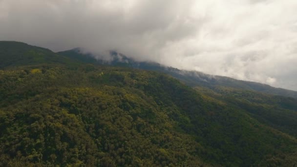 Τροπικό δάσος στα βουνά. Camiguin νησί Φιλιππίνες. — Αρχείο Βίντεο