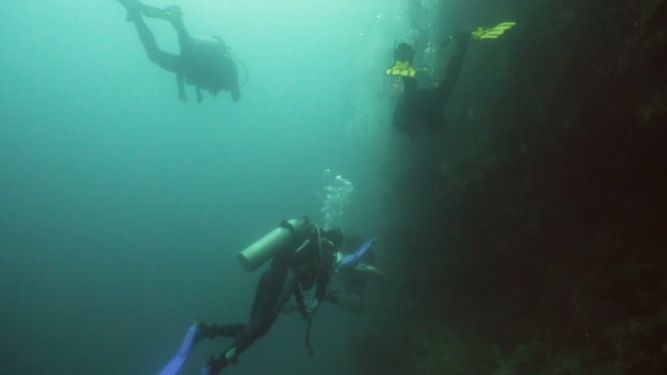 Dykare under vatten. — Stockvideo