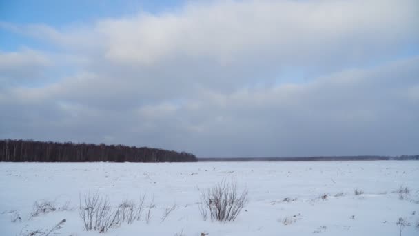 Winterlandschaft aus Feldern und Wäldern. — Stockvideo