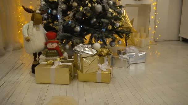 Albero di Natale decorato. — Video Stock