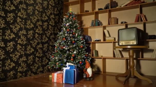 飾られたクリスマスツリー. — ストック動画