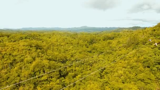 Cazibe zipline Bohol, Filipinler adadaki ormanda. — Stok video