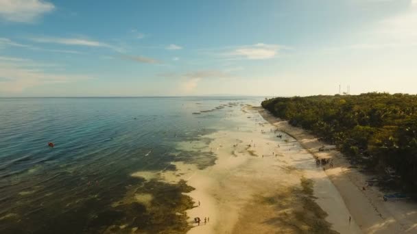 Vista aérea hermosa playa de Alona en una isla tropical Bohol. Filipinas. — Vídeos de Stock