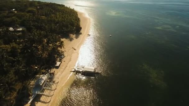Antenna Nézd szép strand egy trópusi szigeten. Fülöp-szigetek, Bohol. — Stock videók