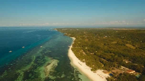 Aerial view beautiful beach on a tropical island. Philippines,Bohol. — Stock Video