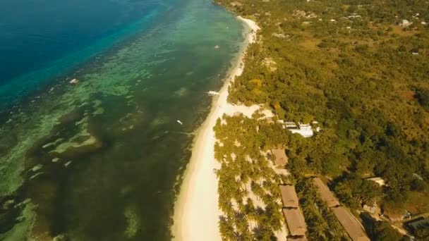 Antenna Nézd szép strand egy trópusi szigeten. Fülöp-szigetek, Bohol. — Stock videók