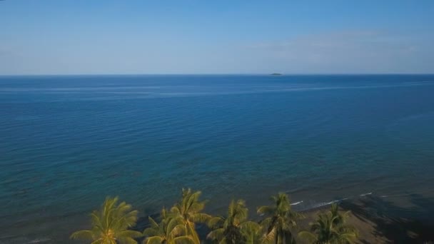 Vista aérea de un campo de arroz. Filipinas — Vídeos de Stock