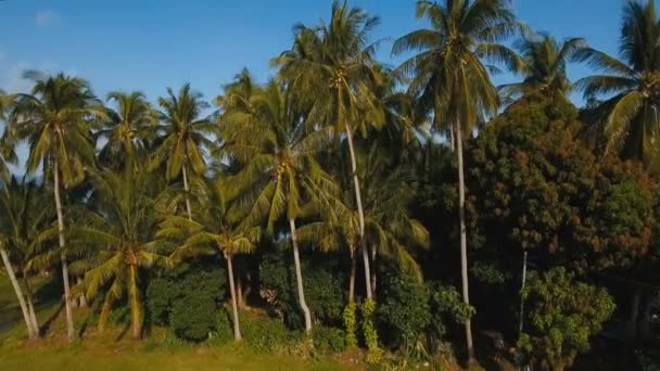 Landschap van de zee met de zee en palm bomen. Luchtfoto uitzicht: Camiguin island Filipijnen. — Stockvideo