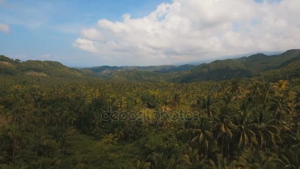 Bergen met tropisch bos. Filippijnen Cebu eiland. — Stockvideo
