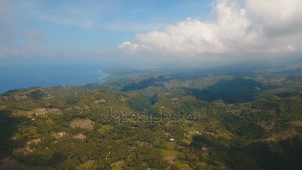 열 대 우림의 산. 필리핀 세부 섬. — 비디오