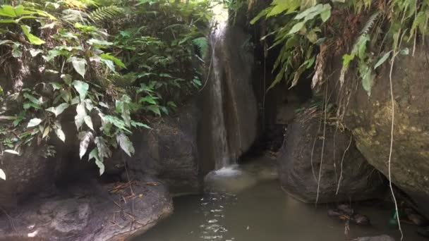 Bella cascata tropicale. Filippine Isola di Cebu . — Video Stock