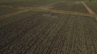 Traktör gübre patates alana püskürtme. Hava video.