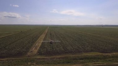 Traktör gübre patates alana püskürtme. Hava video.