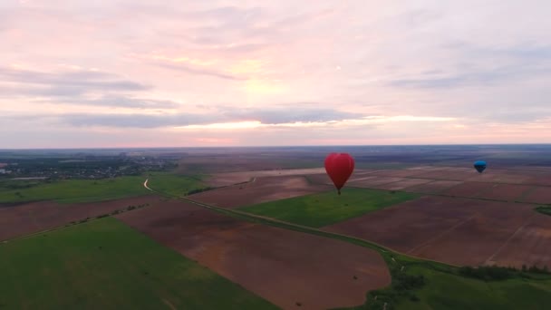 Montgolfière dans le ciel au-dessus d'un champ.Vue aérienne — Video