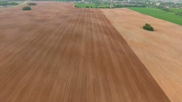 Luchtfoto van landbouwgronden — Stockvideo