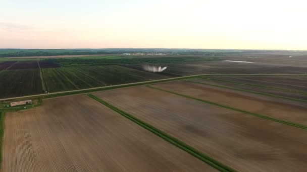 Vue aérienne : Système d'irrigation arrosant un champ agricole. — Video
