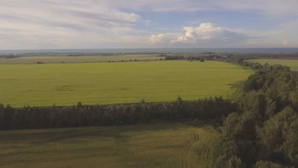 Aerial view: flygande över gröna fält. — Stockvideo