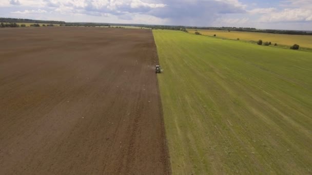 Tractor ploegen een veld.Luchtfoto. — Stockvideo