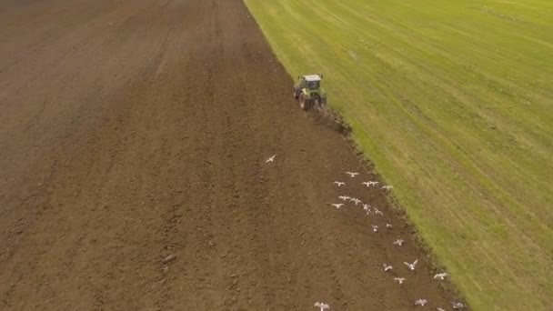 Ciągnik orający pola.Filmik z powietrza. — Wideo stockowe