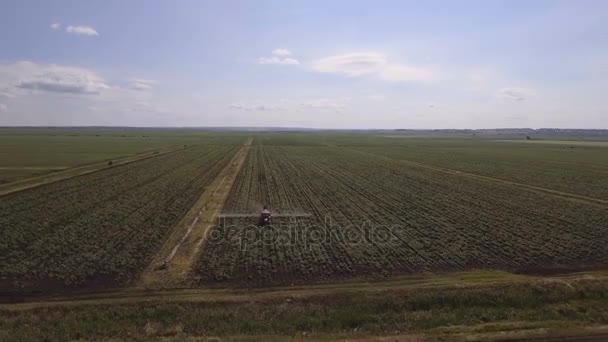 Trekker is sproeien meststoffen aardappel veld. Luchtfoto video. — Stockvideo