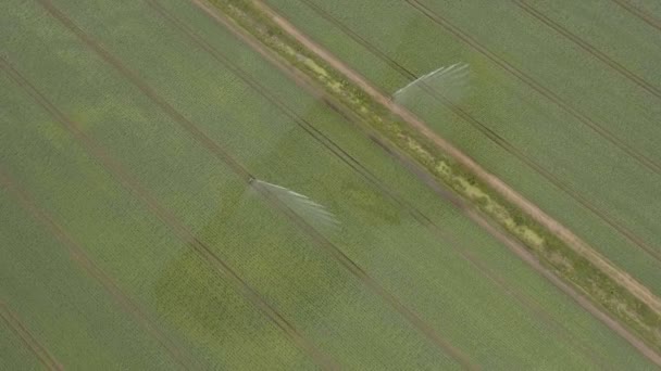 Вид с воздуха: оросительная машина на картофельном поле — стоковое видео