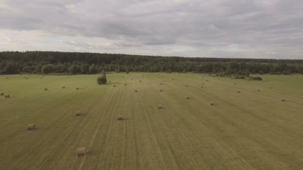 フィールドで干し草の山のロール。空撮. — ストック動画