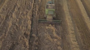 Havadan görünümü birleştirmek bir alan buğday hasat.