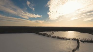 Kış manzara orman ile alan. Kış manzarası.