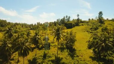 Tarım alanları içinde küçük rüzgar türbini. Filipinler, Siargao.